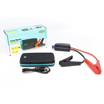 Зарядное устройство/Powerbank 12В для акумуляторов до 150A/h Ring (RPPL300)