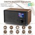 Цифрове радіо QOQIDUN D-02 Brown (R3664)
