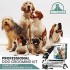 Професійна машинка для стрижки тварин Pet Union Black (R3791) Професійна машинка для стрижки тварин Pet Union Black (R3791)