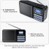 Цифрове радіо Gallypek DAB-P11 Black (R3802) Цифрове радіо Gallypek DAB-P11 Black (R3802)