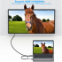 Кабель BENFEI HDMI до DisplayPort підтримкою 4K@60Hz, 2K@144Hz, 1080P@165Hz Grey (R3937)