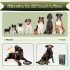 Ультразвуковий антигавкітний пристрій Queenmew U11 Green (R4536131820250)