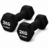 Гантелі вінілові Crivit 2 x 2 кг Black (R4837131820250) Гантелі вінілові Crivit 2 x 2 кг Black (R4837131820250)